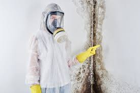 Best Mold Odor Removal Services in Manor, PA